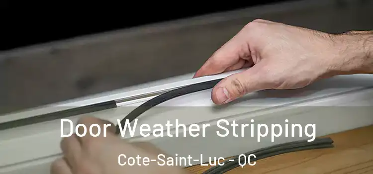 Door Weather Stripping Cote-Saint-Luc - QC