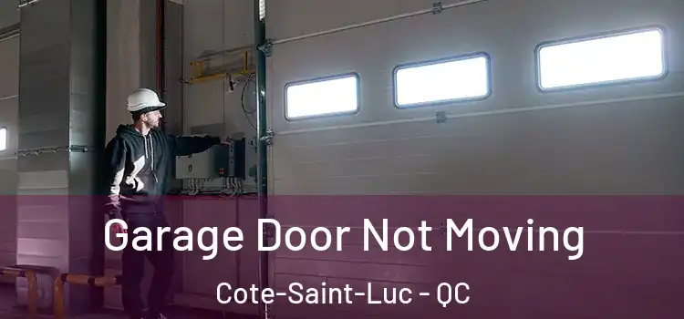  Garage Door Not Moving Cote-Saint-Luc - QC