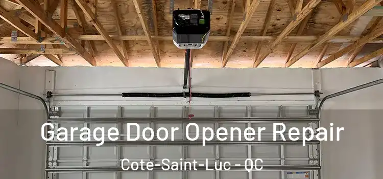  Garage Door Opener Repair Cote-Saint-Luc - QC