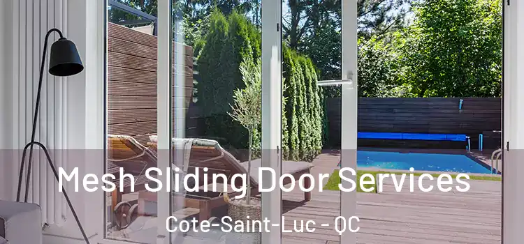  Mesh Sliding Door Services Cote-Saint-Luc - QC