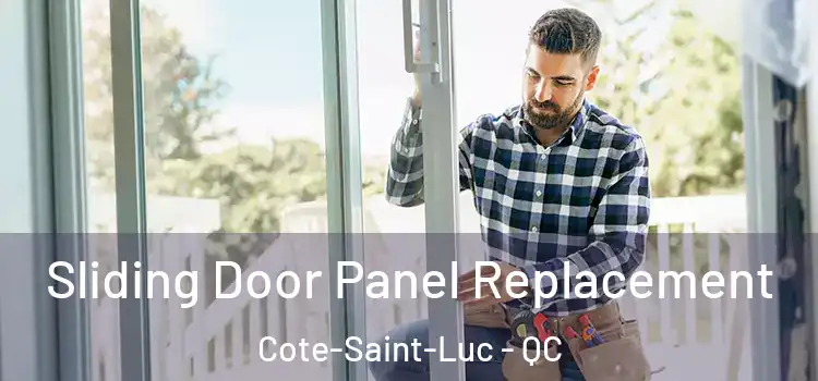  Sliding Door Panel Replacement Cote-Saint-Luc - QC